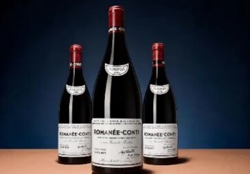 The Royal Blueע ʿ2025＾ݾƷܱԤչ